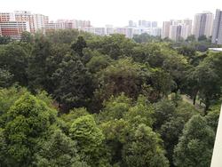 Blk 536 Jelapang Road (Bukit Panjang), HDB 5 Rooms #132353732